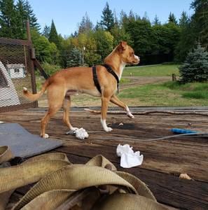 Meet your Posher, Mark